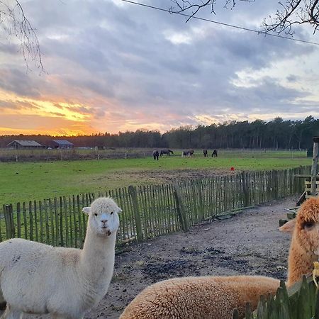 Luxe Finse Kota Met Jacuzzi En Saunabarrel De Zandhoef Villa Eersel Luaran gambar